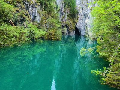 1140x493 cheile orzei